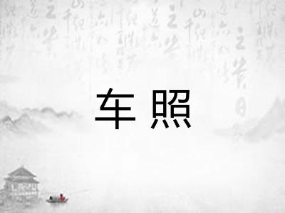 车照