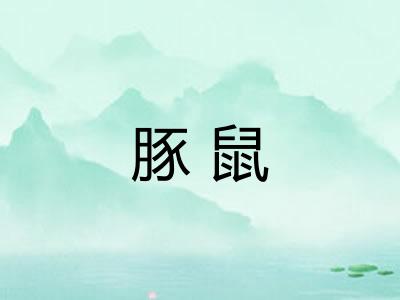 豚鼠