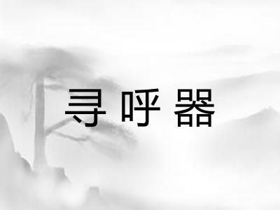寻呼器