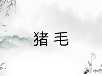 猪毛