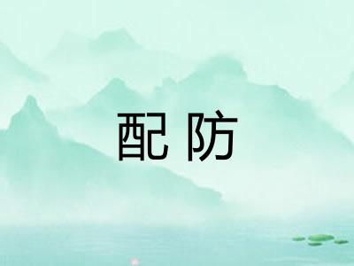 配防