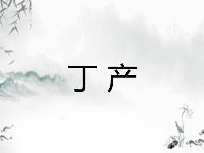 丁产