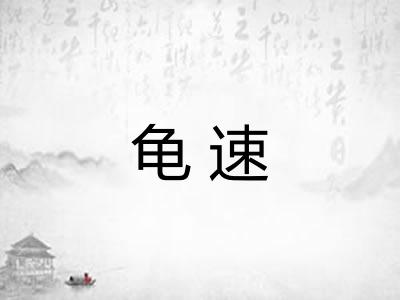 龟速