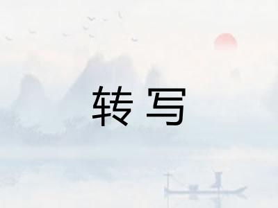 转写