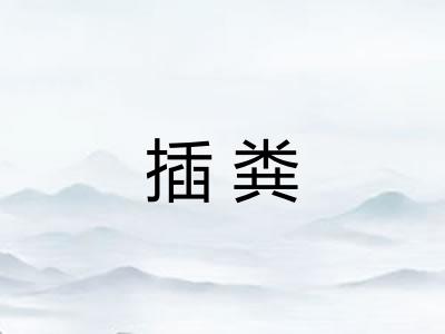 插粪