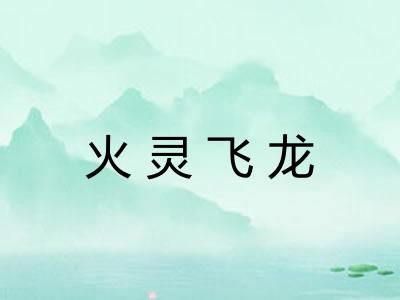火灵飞龙