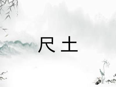 尺土