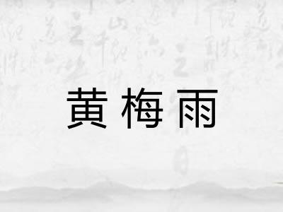 黄梅雨