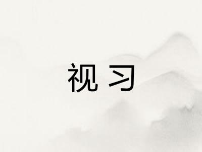 视习