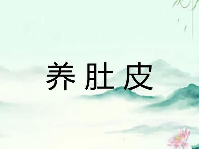 养肚皮