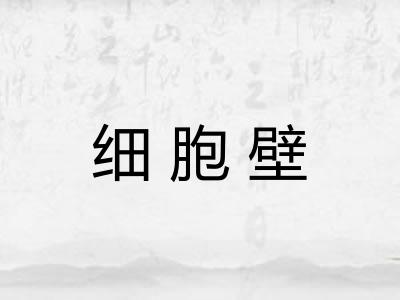细胞壁