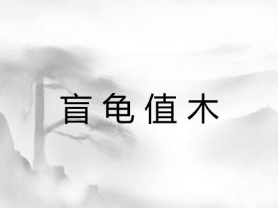 盲龟值木