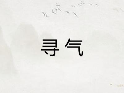 寻气