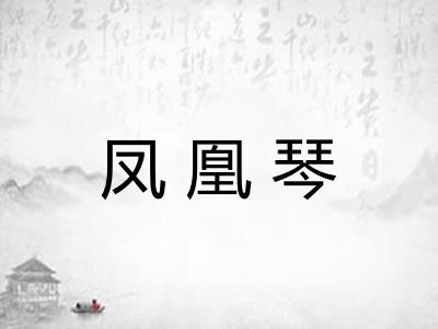 凤凰琴