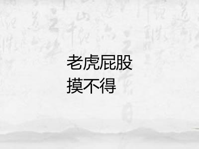 老虎屁股摸不得