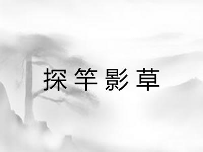 探竿影草