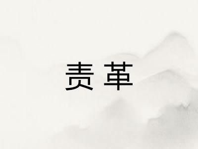 责革