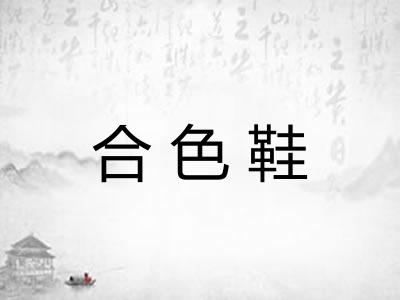 合色鞋