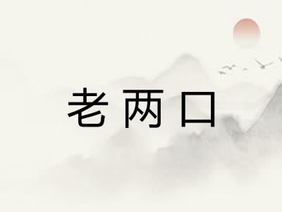 老两口