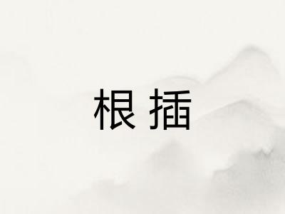 根插