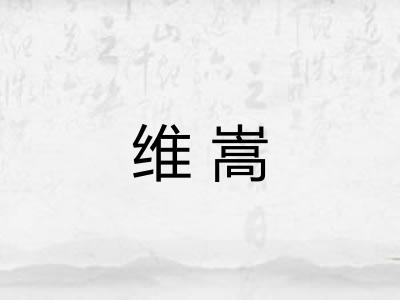 维嵩