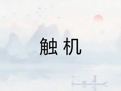 触机