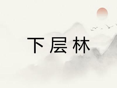 下层林
