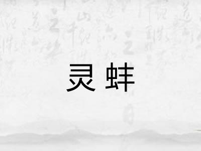 灵蚌