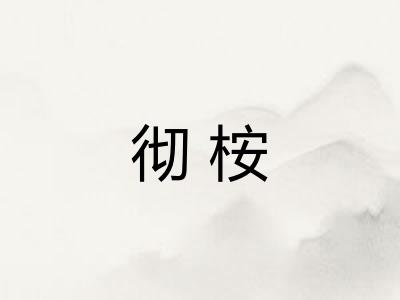 彻桉