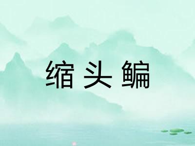 缩头鳊