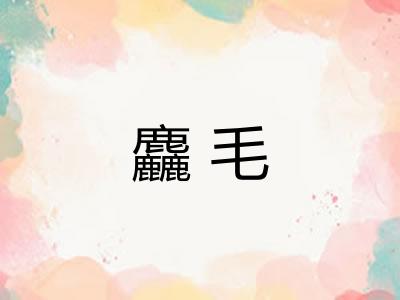 麤毛