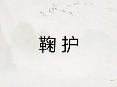 鞠护