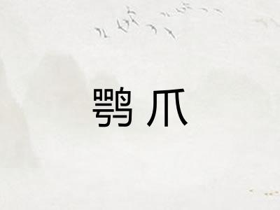 鹗爪