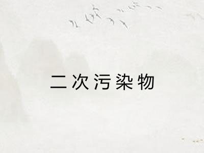 二次污染物