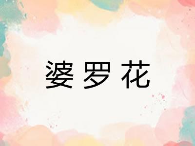 婆罗花