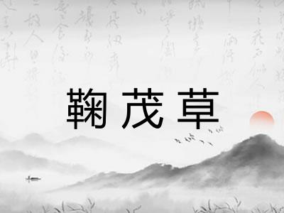 鞠茂草