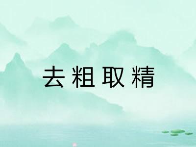 去粗取精