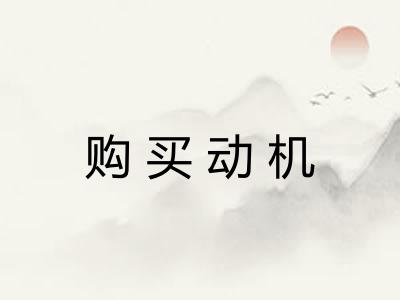 购买动机