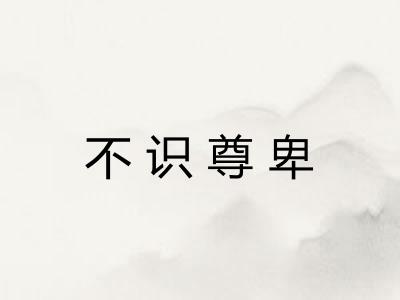不识尊卑