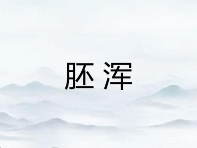 胚浑