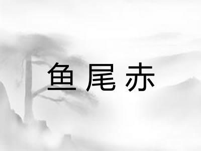 鱼尾赤