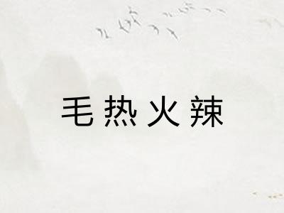 毛热火辣