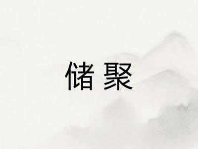 储聚