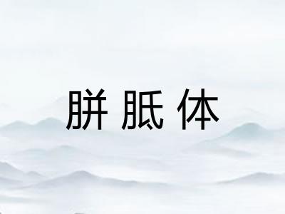 胼胝体