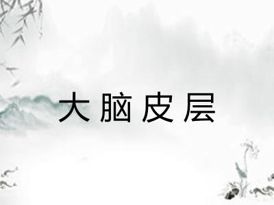 大脑皮层