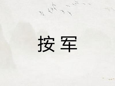 按军