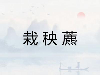 栽秧藨