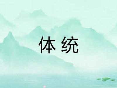 体统