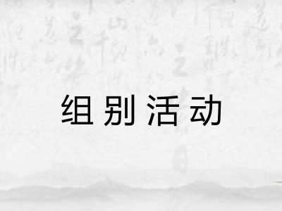 组别活动
