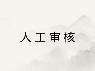 人工审核
